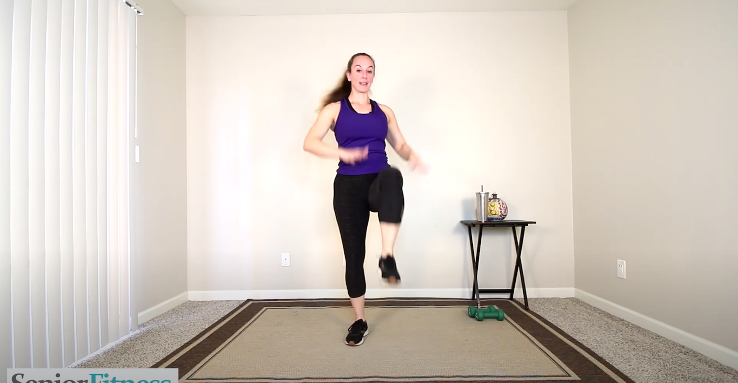 Standing cardio exercises for seniors using dumbbells Virtual Connections